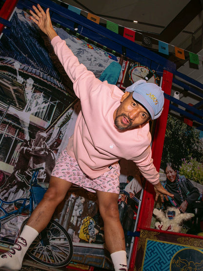 SHERPA LINED EAR FLAP BASEBALL HAT